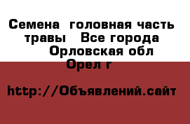 Семена (головная часть))) травы - Все города  »    . Орловская обл.,Орел г.